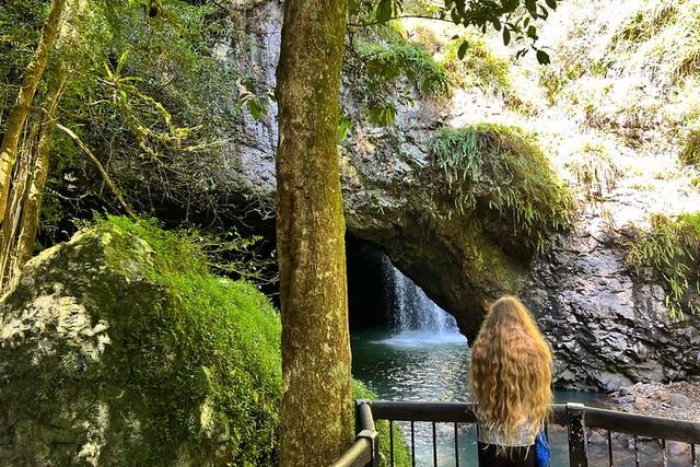 Springbrook