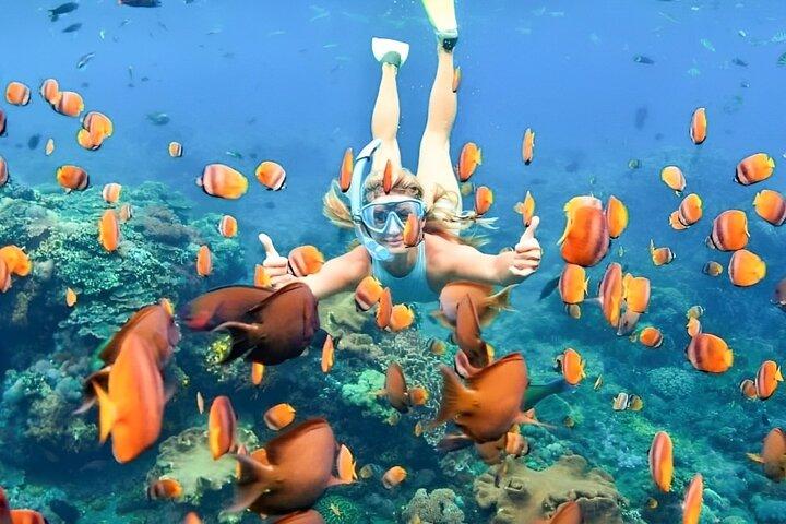 Visite de Bali en apnée à Blue Lagoon Beach - Tout compris