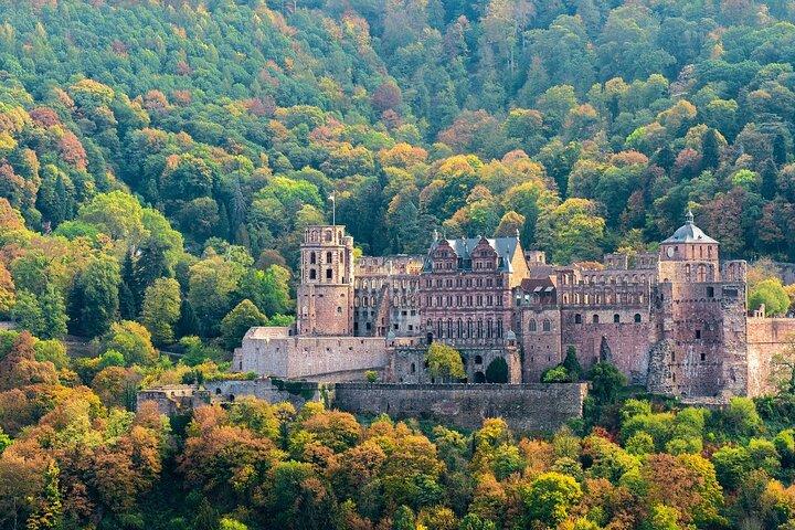 Visite privée d'une demi-journée à Heidelberg au départ de Francfort