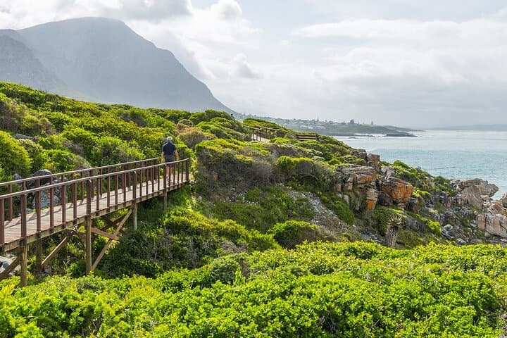 One-Way Hop-on Hop-off Bus from Cape Town to Port Elizabeth