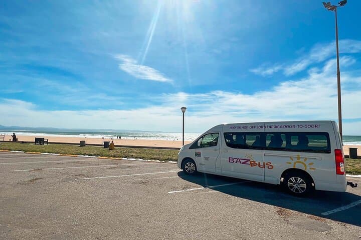 One-Way Hop-on Hop-off Bus from Cape Town to Port Elizabeth