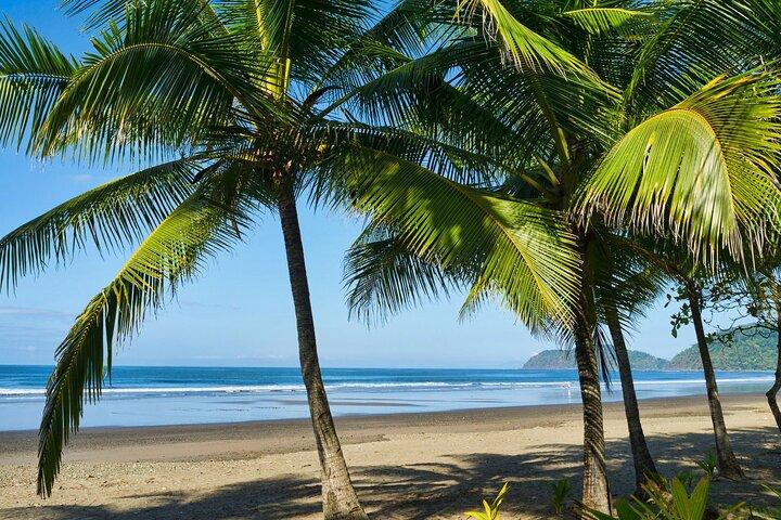 Navette partagée directe de Monteverde à Playa Hermosa et Jaco