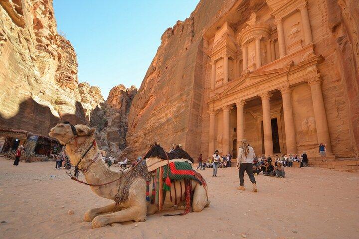 Petra e Mar Morto - tour privado de um dia