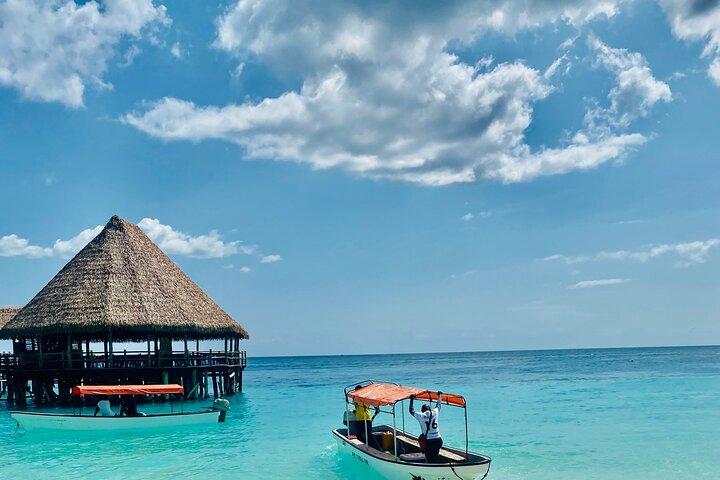 Bedste Safari og Zanzibar 10-dages udflugter
