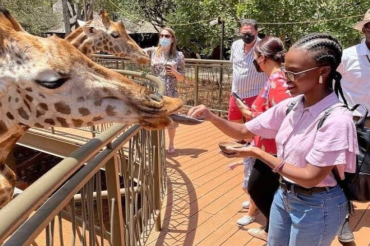 Private Tour in Giraffe Centre and Bomas of Kenya
