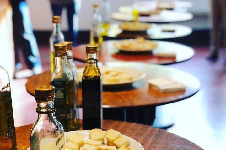 Visita privata di Maipú