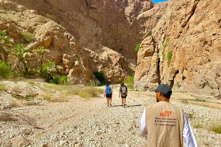 Heldagstur i grupp i Wadi Shab