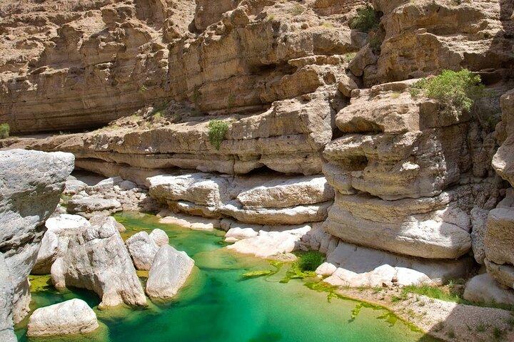 Heldagstur i grupp i Wadi Shab