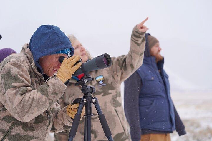 Visite privée de 3 heures du parc national de Grand Teton et de Jackson Hole