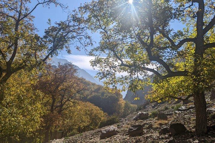 Atlas Mountains Three Valley and Berber Villages & Watterffalls Day Tour