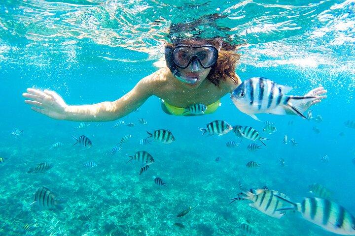 Marsa Alam : Excursion en apnée à Marsa Moubarak avec déjeuner
