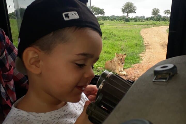 3-Day Private Mikumi Safari Experience from Zanzibar – Return