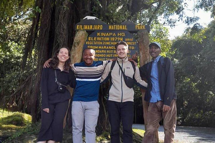 Kilimanjaro Day Hike to Mandara Hut Full Day Trek