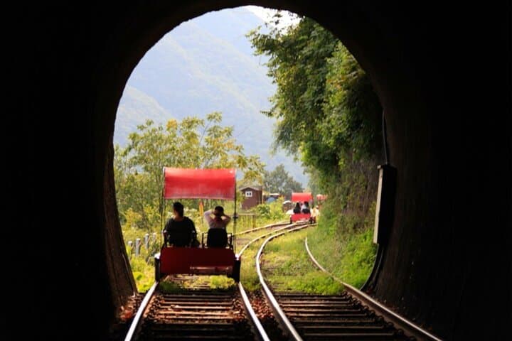 Nami Island, Alpaca World and Gangchon Rail Bike Tour from Seoul