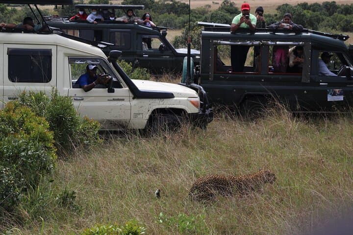 5-Day Private Tour in Kenya's Best Game Parks