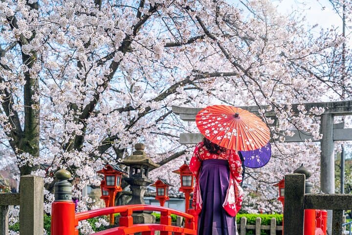 Kyoto Full Day (8 hours) Ultimate Sightseeing Private Tour