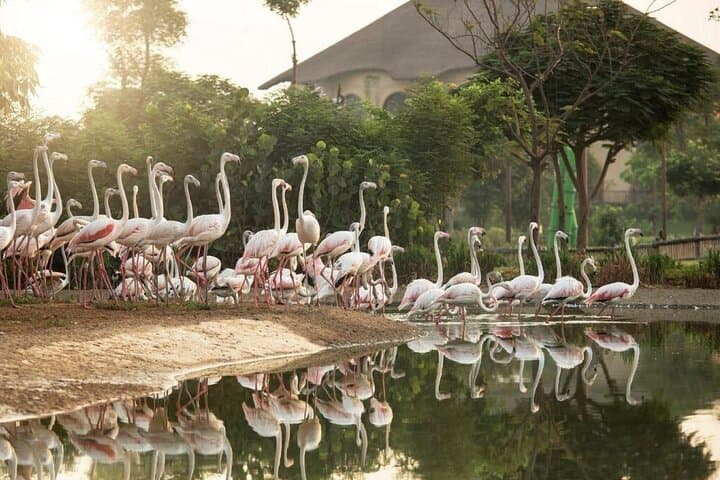 Dubai Safari Park