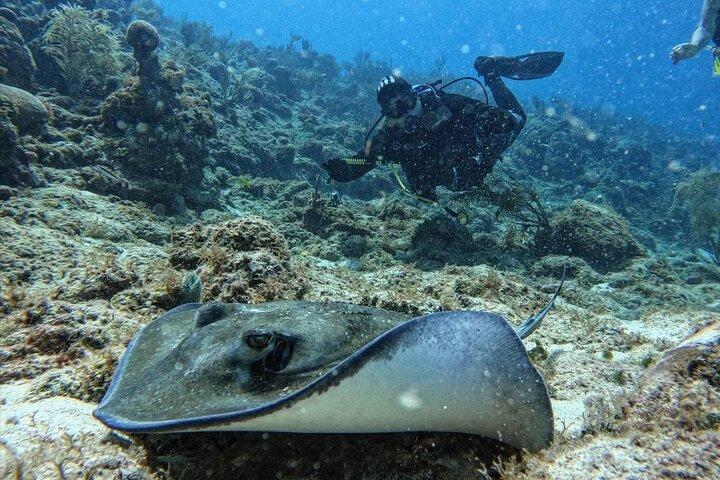 Privates Taucherlebnis für Anfänger auf den San Andrés Inseln