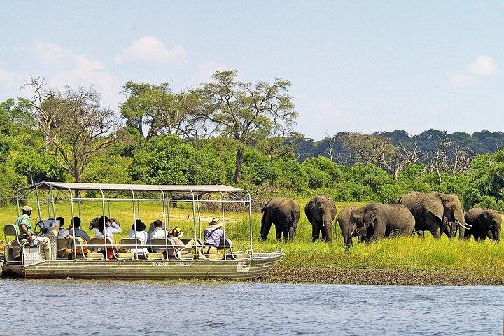 Chobe-dagstur fra Livingstone