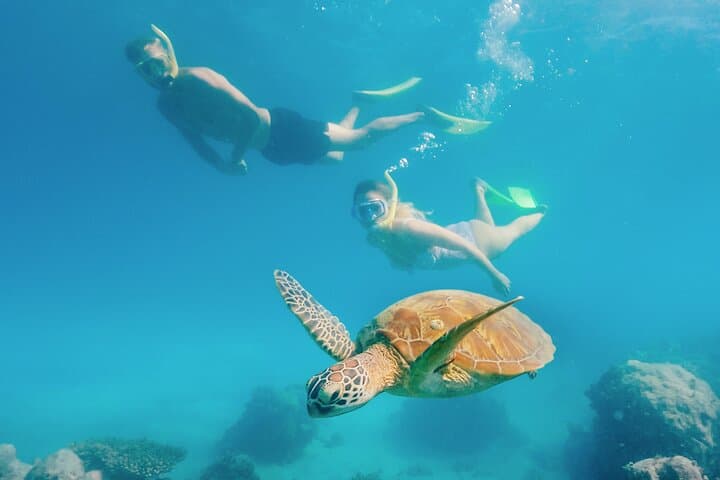 Snorkelling and Glass Bottom Boat at Green Island from Cairns