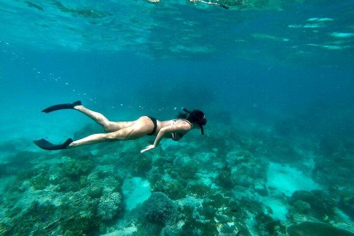 Bali Blue Lagoon y Tanjung Jepun Snorkeling con Todo Incluido
