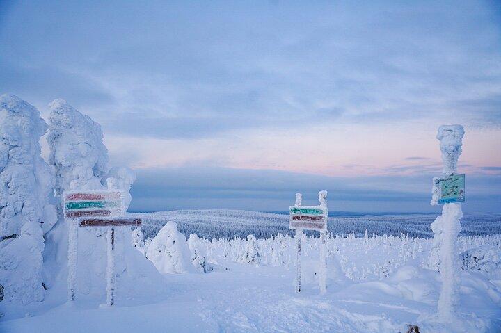 リーシトゥントゥリの魔法の凍った森を通る北極の冒険