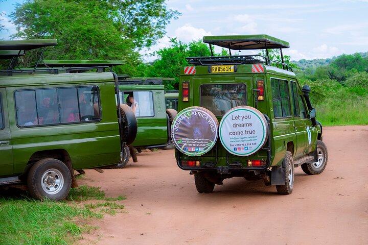 Safari privado de dia inteiro no Parque Nacional Akagera com almoço