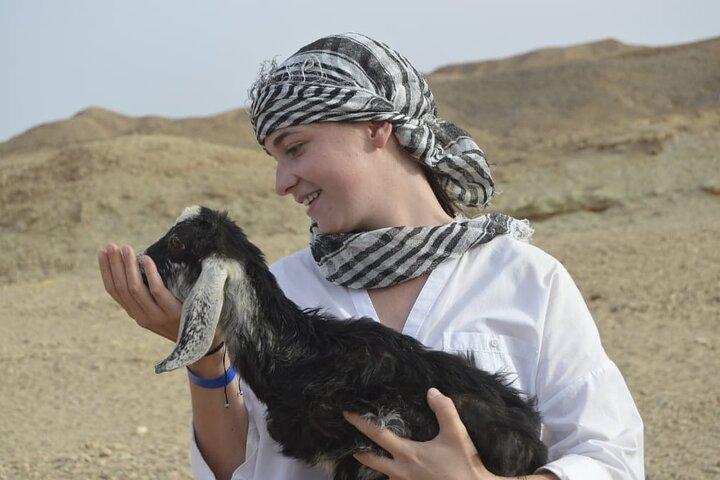 Hurghada Desert Thrill 3-Hour ATV Quad Bike Adventure