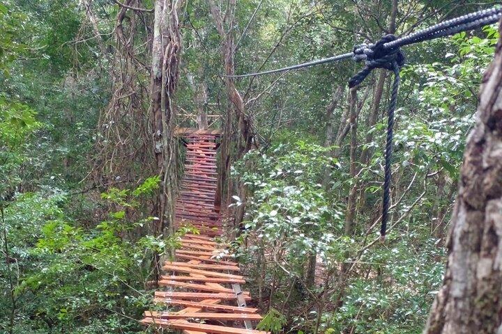 Fælles ATV'er og Zip Lines og svømning i en rigtig Cenote.