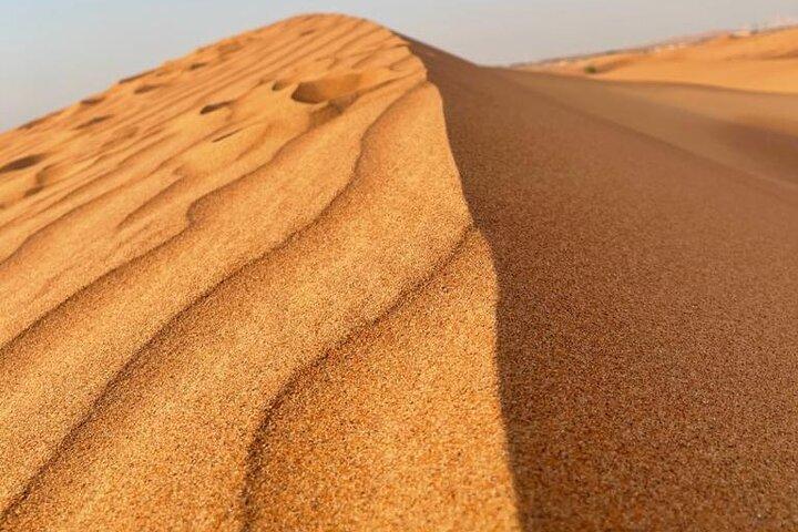 Tour serali di safari nel deserto
