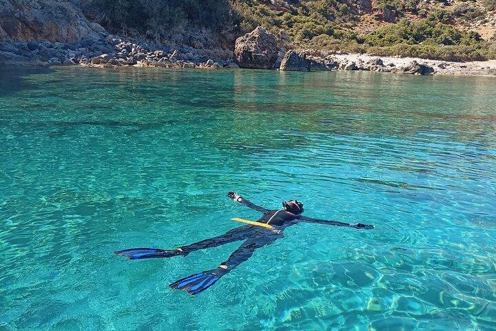 Snorkling og Freediving oplevelse