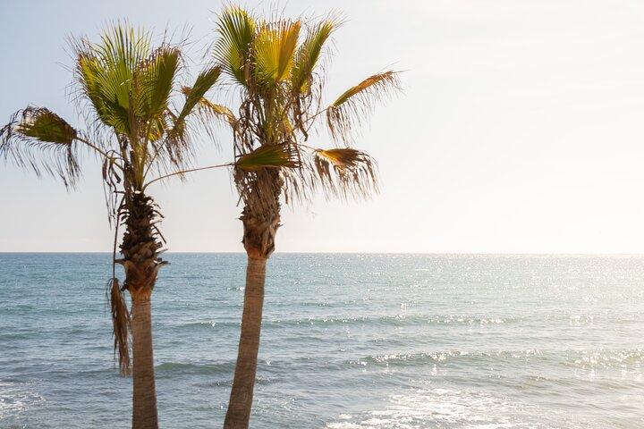 Tour privato della città di Marbella e Puerto Banús da Malaga