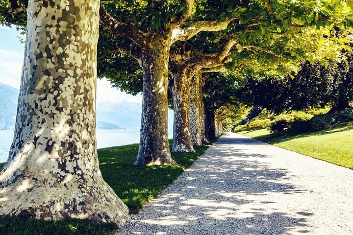 Full-Day Villas of Lake Como from Varenna, Bellagio and Tremezzo