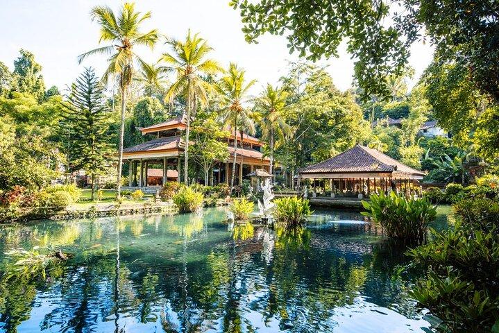 Bali Best Of Ubud Tour Privato e All Inclusive