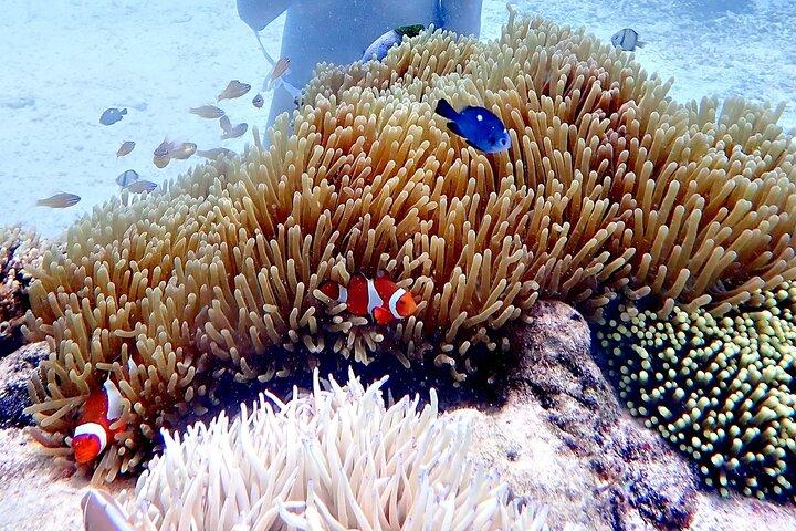 Buceo con casco en Boracay