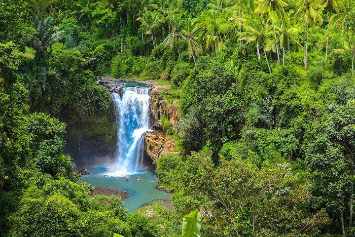 Ubud : Bosque de Monos, Columpio de la Selva, Terraza de Arroz y Templo del Agua