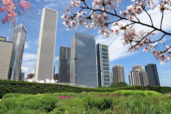 Pacchetto tour audio autoguidato Chicago Riverwalk e Millennium Park