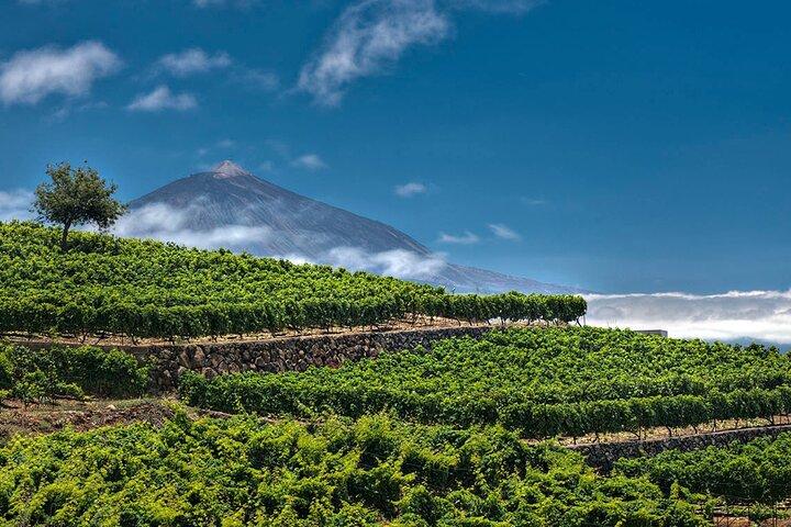 Aromen Teneriffas : Mojo-Workshop, Weinprobe und Weinguttour