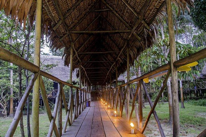 4-dagars Iquitos Jungle Adventure på Muyuna Lodge