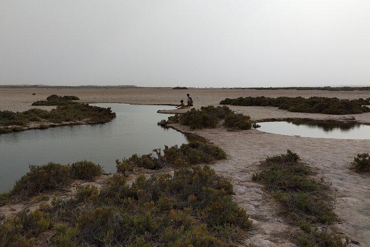 Entdecken Sie atypische Orte von Dakhla im Geländewagen mit lokalem Führer