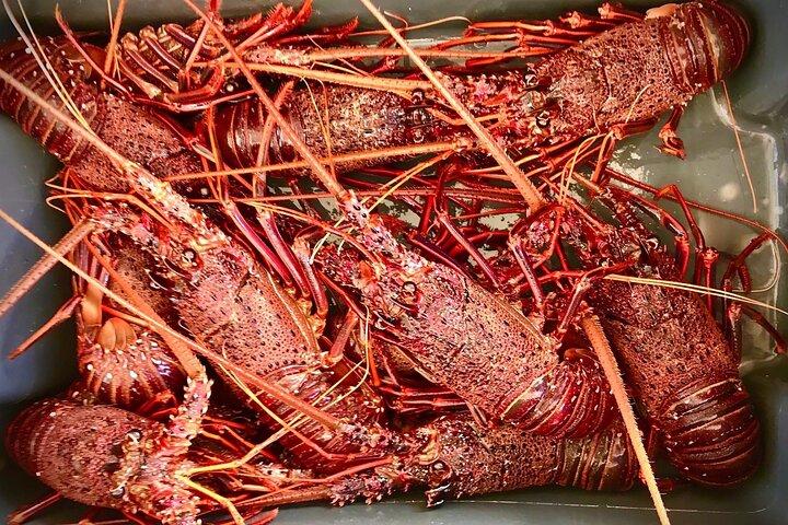 Hoteller i nærheden af Kalbarri Rock Lobster Tours