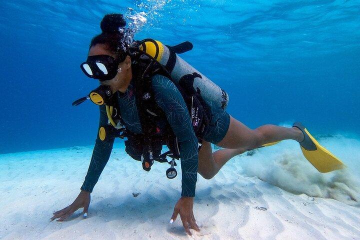 Private First-Time Dive in Aruba. Reef, Wreck or Turtle site
