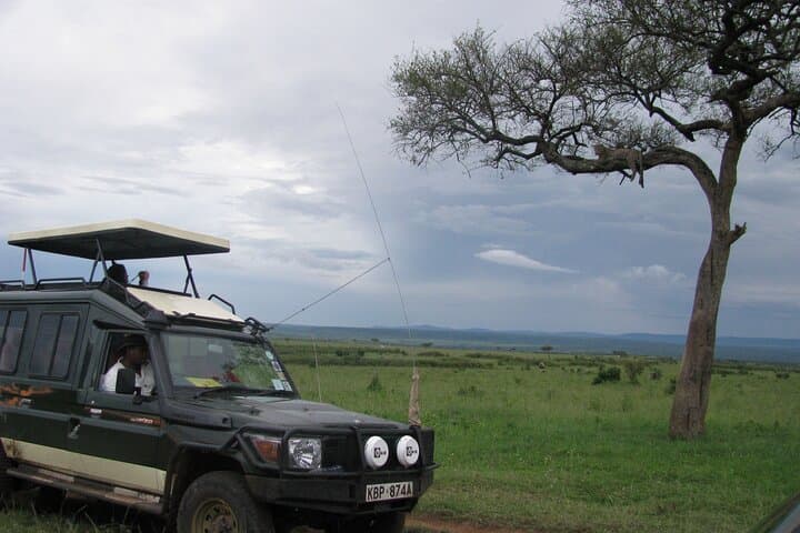 Ultimate 12 Days Private Safari Tour in Kenya and Tanzania