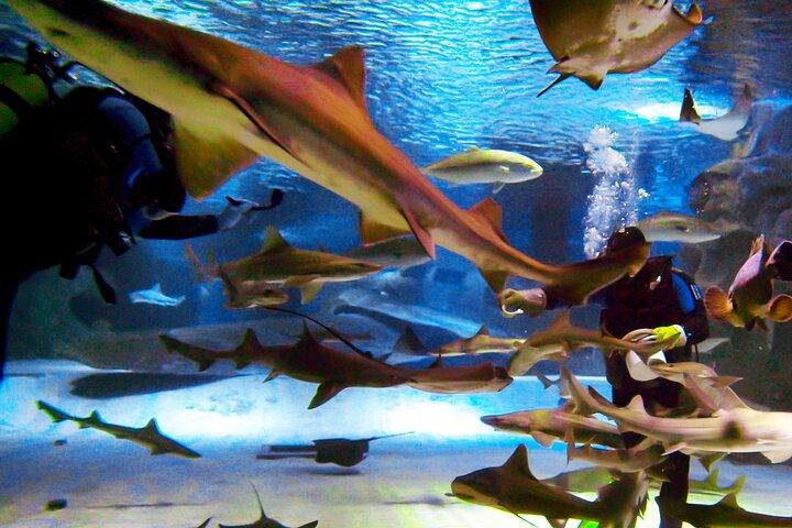 Alexander Waterfall e Antalya Aquarium Day Tour de lado