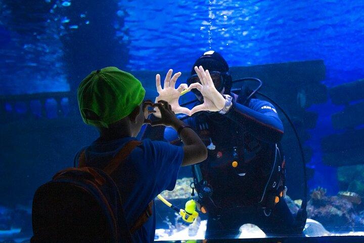 Alexander Waterfall e Antalya Aquarium Day Tour de lado