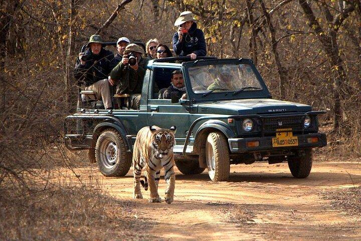 Jaipur naar Ranthambore National Park Privé eendaagse trip