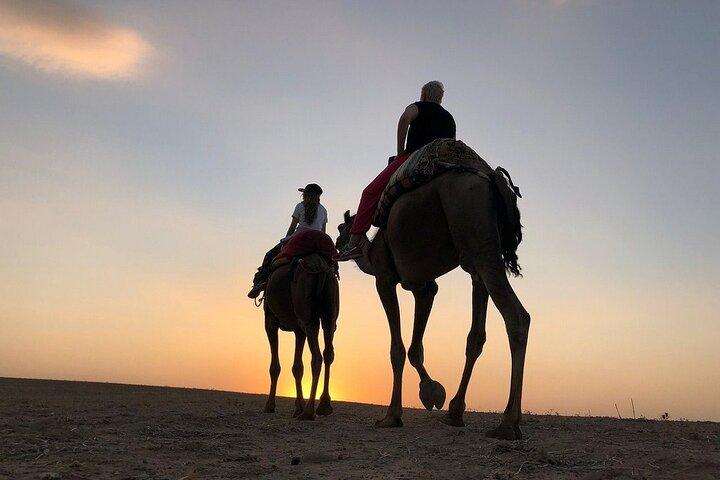 Safari In Agafay Desert , Dinner & Show