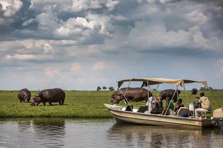 Chobe Full Day Safari