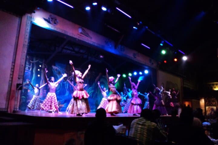 Safari Cat Dancers Show And Dinner