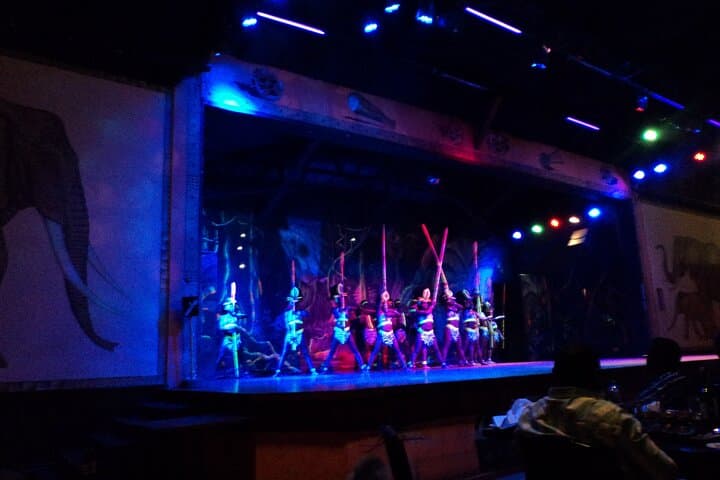 Safari Cat Dancers Show And Dinner